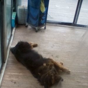 Meet your Posher, Fleetwood